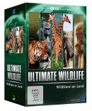 Amazon.de: Ultimate Wildlife Edition – Wildtiere an Land (BBC) [5 DVDs] für 6,97€ + VSK