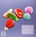Amazon.fr: Peter Gabriel – New Blood Live In London [Edition Deluxe] (deluxe edition) (Blu-ray+DVD+2CD) für 26,17€ inkl. VSK
