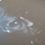 Riddick-Digibook-03