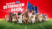 MediaMarkt.de: Das große Euro Osterhasen rasen vom 21.03. – 26.03.16