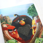 angry-birds-3d-steelbook-16