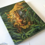 Junglebook-Stellbook_by_fkklol-06