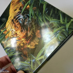 Junglebook-Stellbook_by_fkklol-07