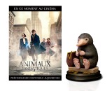 Amazon.de: Phantastische Tierwesen und wo sie zu finden sind: Sammleredition mit Niffler-Figur [Steelbook] [3D Blu-ray] [Limited Edition] für 60,73€ inkl. VSK