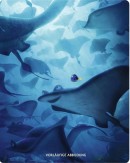 CeDe.de: Findet Dorie 3D Steelbook [Blu-ray] für 10,99€ inkl. VSK uvm.