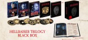 [Vorbestellung] Media-Dealer.de: Hellraiser Trilogy – Black Box [Blu-ray+DVD] für 127,77€ + VSK