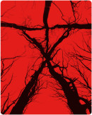 Zavvi.com: 2 für 15 Pfund / 17 EUR z.B. (The) Blair Witch Project Steelbook [Blu-ray]