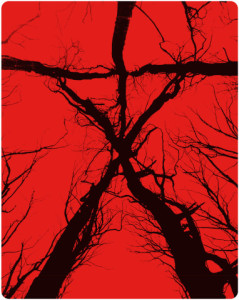 blairwitch