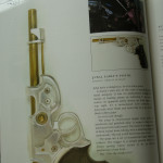 Firefly_Celebration_Buch_bySascha74-21