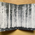 BLAIR-WITCH-COLLECTION-19