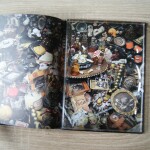 Memoiren-einer-Schnecke-Mediaboo-Sascha74-15