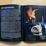 Die-unendliche-Geschichte-4K-Mediabook-12