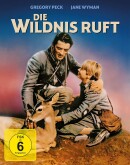 Amazon.de: Die Wildnis ruft (Mediabook) [Blu-ray] für 16,94€ + VSK