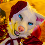 Profilbild von Shane